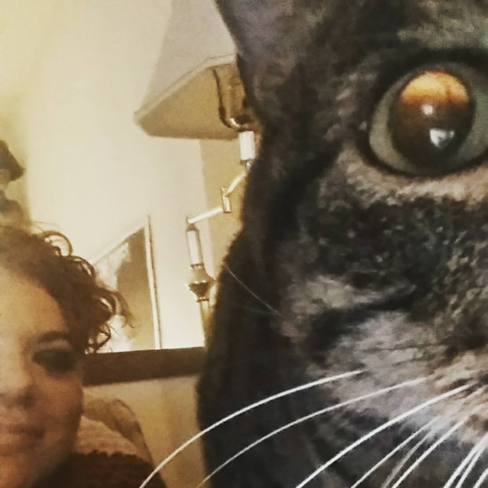 Meet your Posher, Michelle